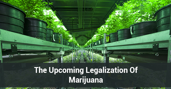 The Upcoming Legalization Of Marijuana